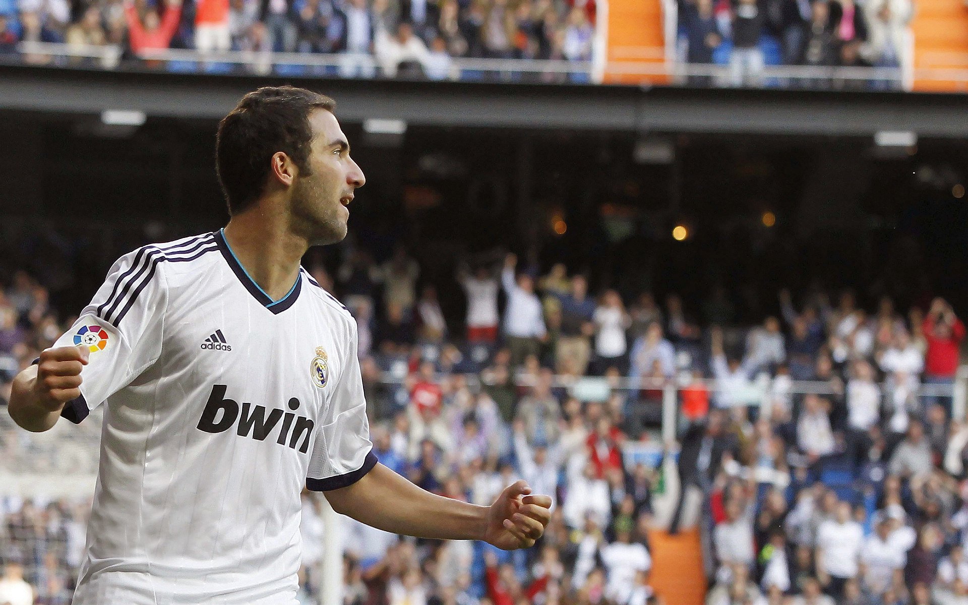 尼日利亚联赛观众人数增长，尼日利亚足球队战绩